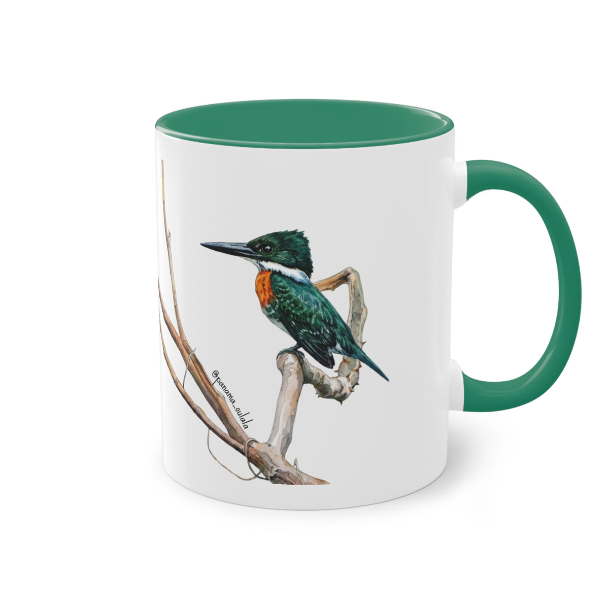 Tasse « Martin-pêcheur vert » – Mug céramique bicolore 325 ml, oiseau tropical du Panama, idée cadeau nature
