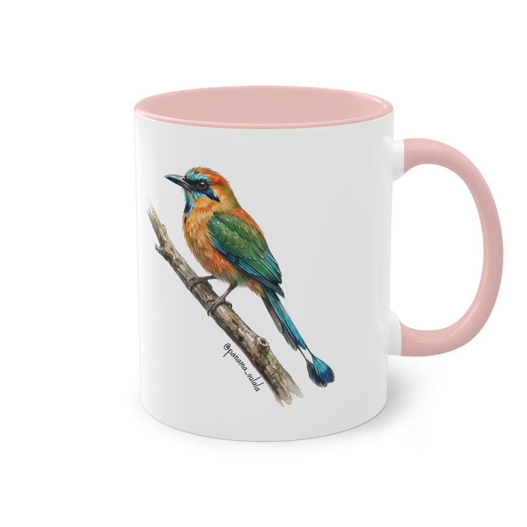 Tasse « Motmot à sourcils bleue » – Mug céramique bicolore 325 ml, oiseau tropical du Panama, idée cadeau nature