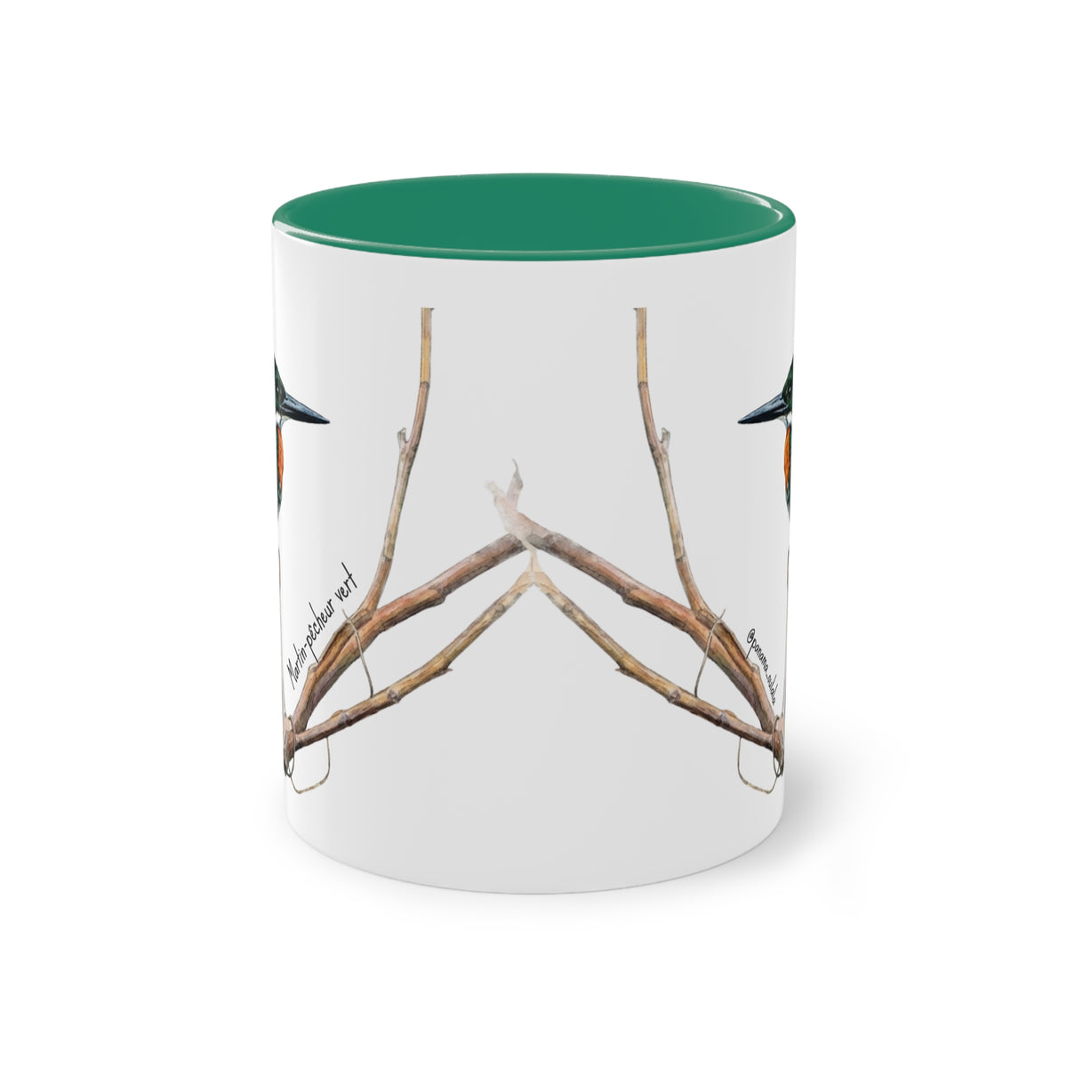 Tasse « Martin-pêcheur vert » – Mug céramique bicolore 325 ml, oiseau tropical du Panama, idée cadeau nature