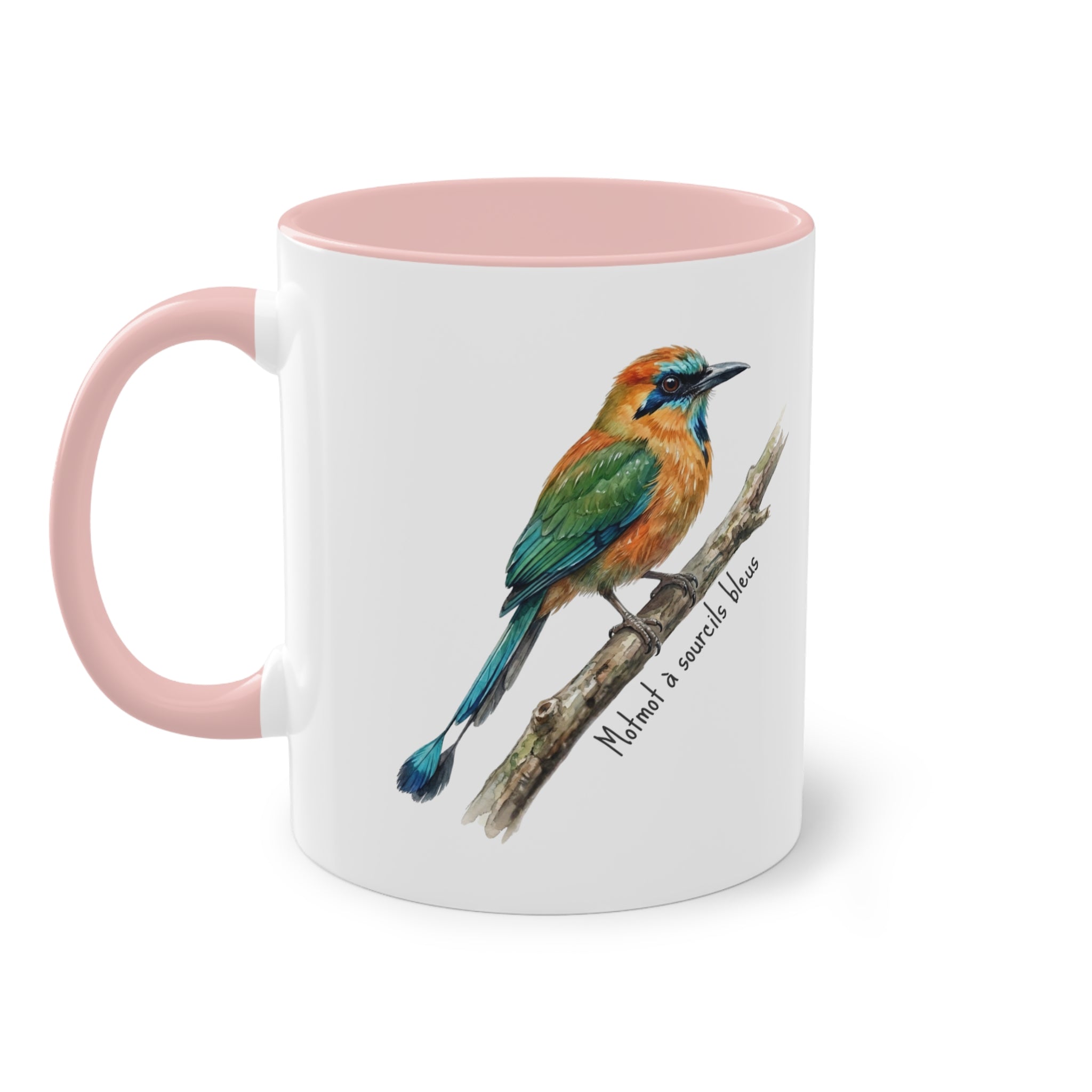 Tasse « Motmot à sourcils bleue » – Mug céramique bicolore 325 ml, oiseau tropical du Panama, idée cadeau nature