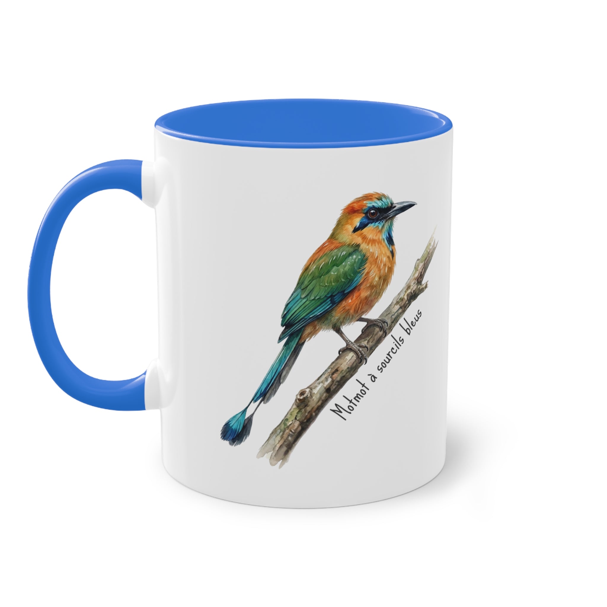 Tasse « Motmot à sourcils bleue » – Mug céramique bicolore 325 ml, oiseau tropical du Panama, idée cadeau nature