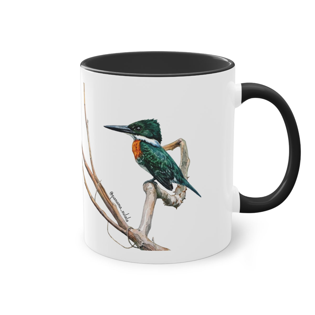 Tasse « Martin-pêcheur vert » – Mug céramique bicolore 325 ml, oiseau tropical du Panama, idée cadeau nature