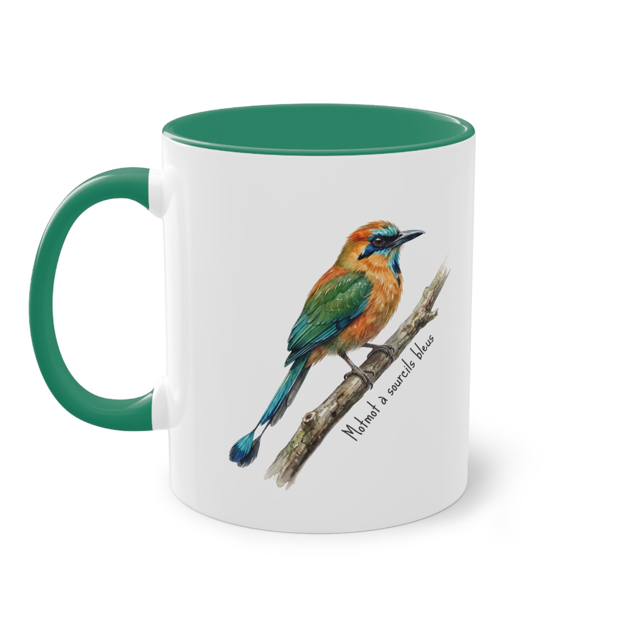 Tasse « Oiseaux du Panama - Motmot à sourcils bleue » – Mug céramique bicolore 325 ml, oiseau tropical du Panama, idée cadeau nature