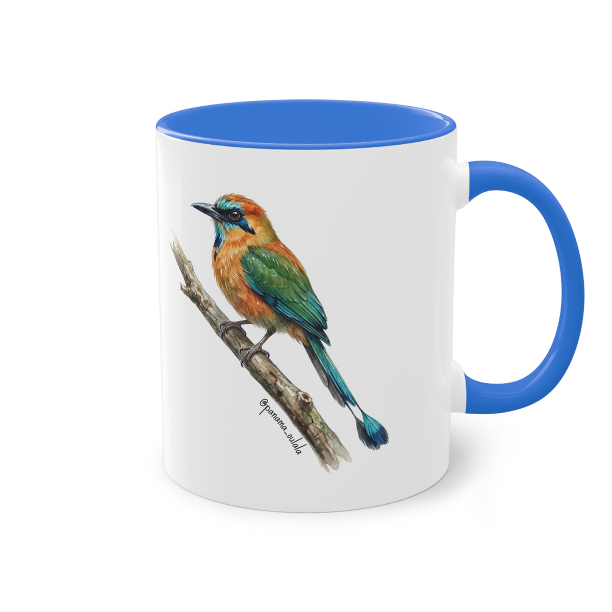 Tasse « Motmot à sourcils bleue » – Mug céramique bicolore 325 ml, oiseau tropical du Panama, idée cadeau nature