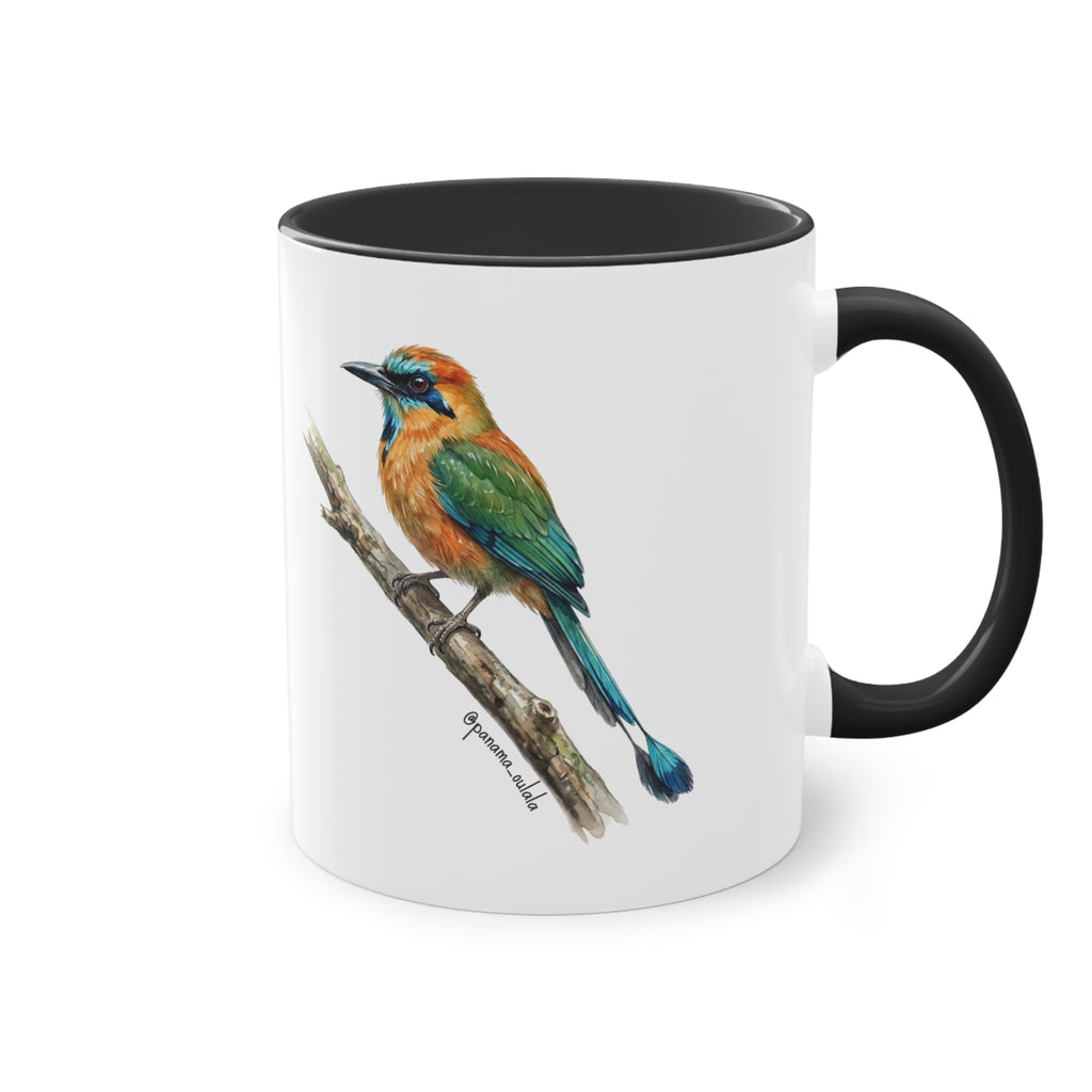 Tasse « Motmot à sourcils bleue » – Mug céramique bicolore 325 ml, oiseau tropical du Panama, idée cadeau nature