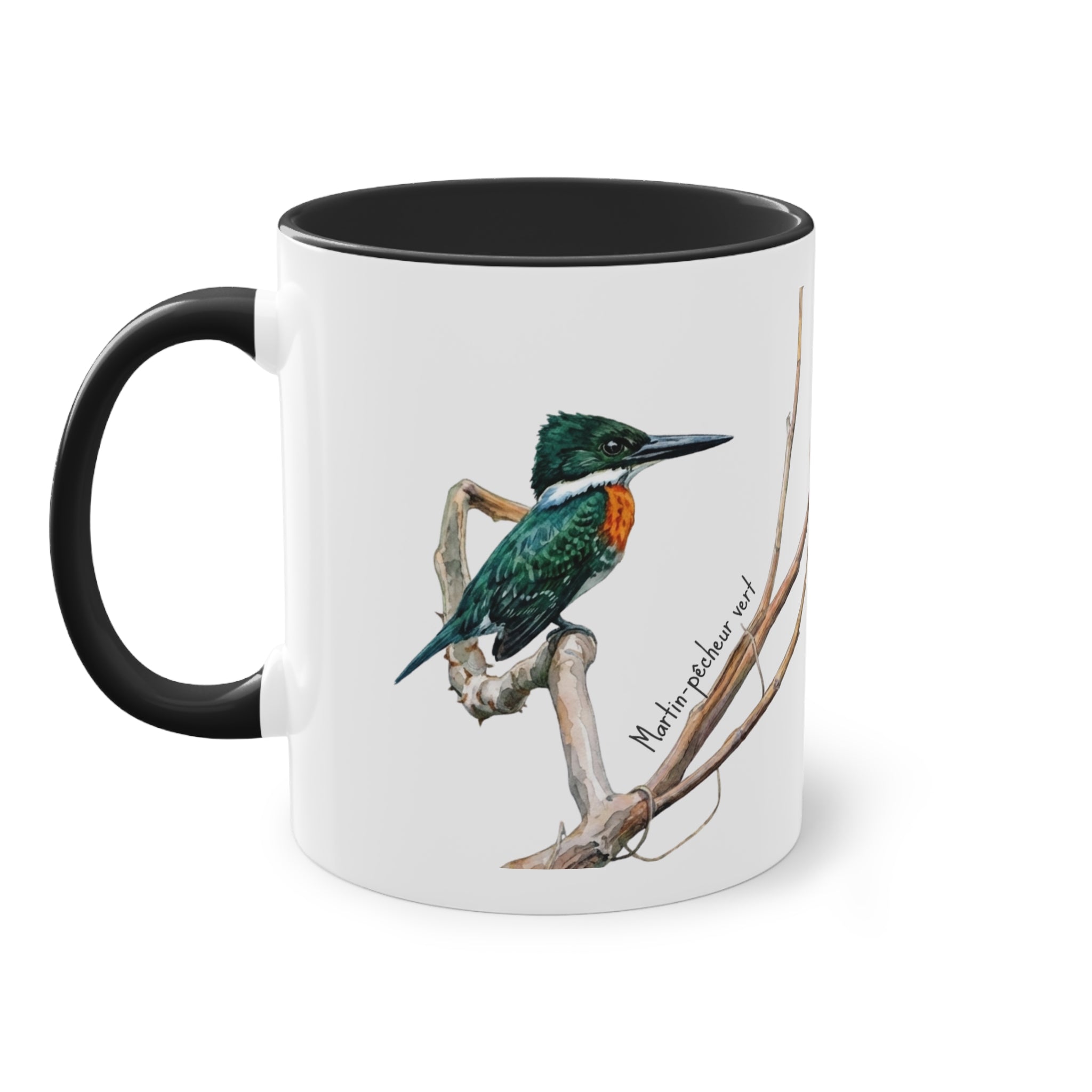 Tasse « Martin-pêcheur vert » – Mug céramique bicolore 325 ml, oiseau tropical du Panama, idée cadeau nature