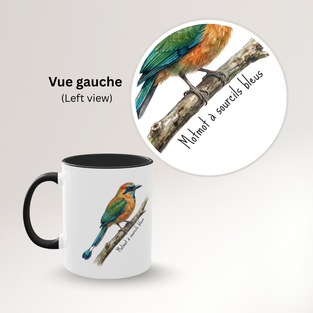 Tasse « Motmot à sourcils bleue » – Mug céramique bicolore 325 ml, oiseau tropical du Panama, idée cadeau nature