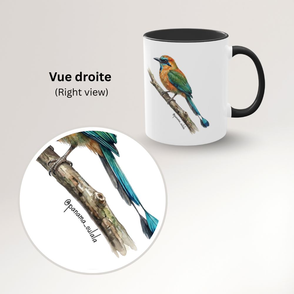 Tasse « Motmot à sourcils bleue » – Mug céramique bicolore 325 ml, oiseau tropical du Panama, idée cadeau nature