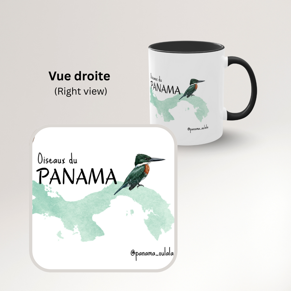 Tasse « Oiseaux du Panama – Martin-pêcheur vert » – Mug céramique bicolore 325 ml, oiseau tropical du Panama, idée cadeau nature