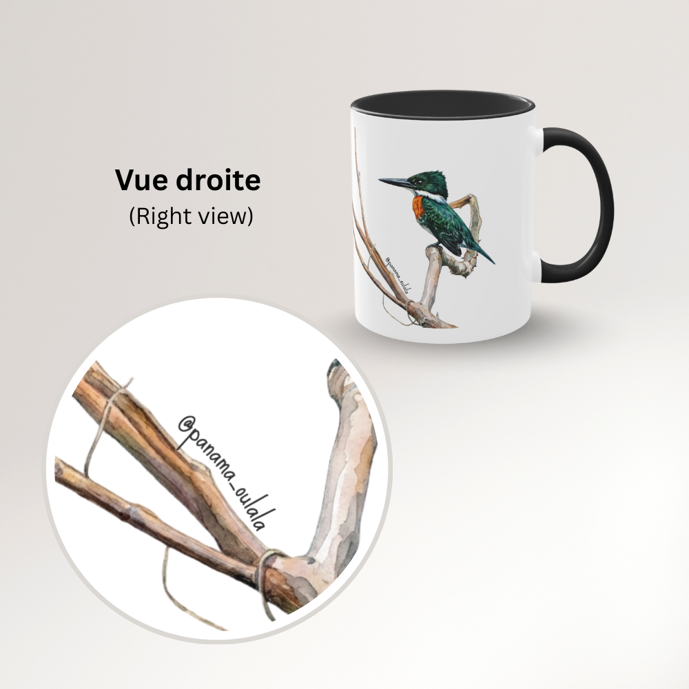 Tasse « Martin-pêcheur vert » – Mug céramique bicolore 325 ml, oiseau tropical du Panama, idée cadeau nature
