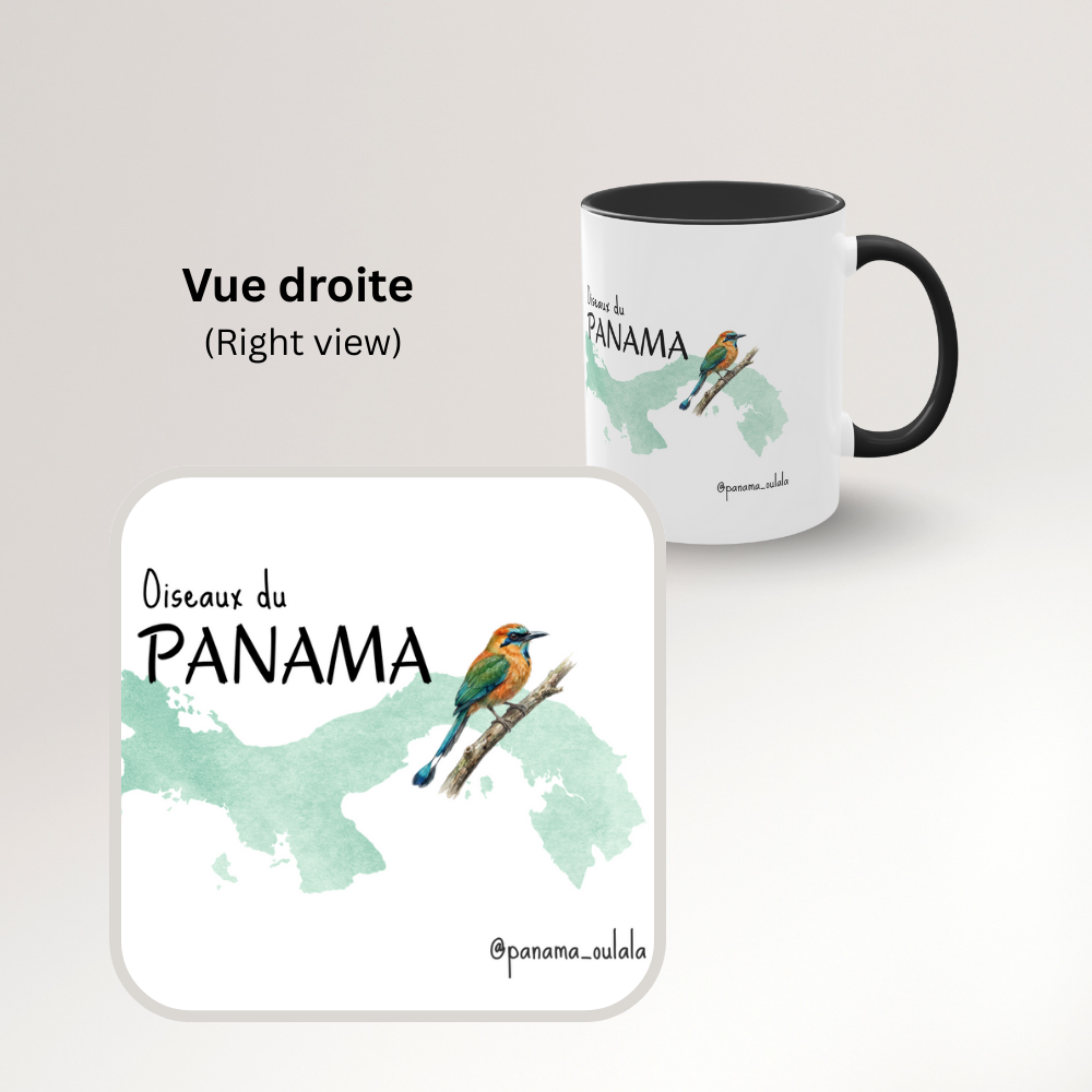 Tasse « Oiseaux du Panama - Motmot à sourcils bleue » – Mug céramique bicolore 325 ml, oiseau tropical du Panama, idée cadeau nature