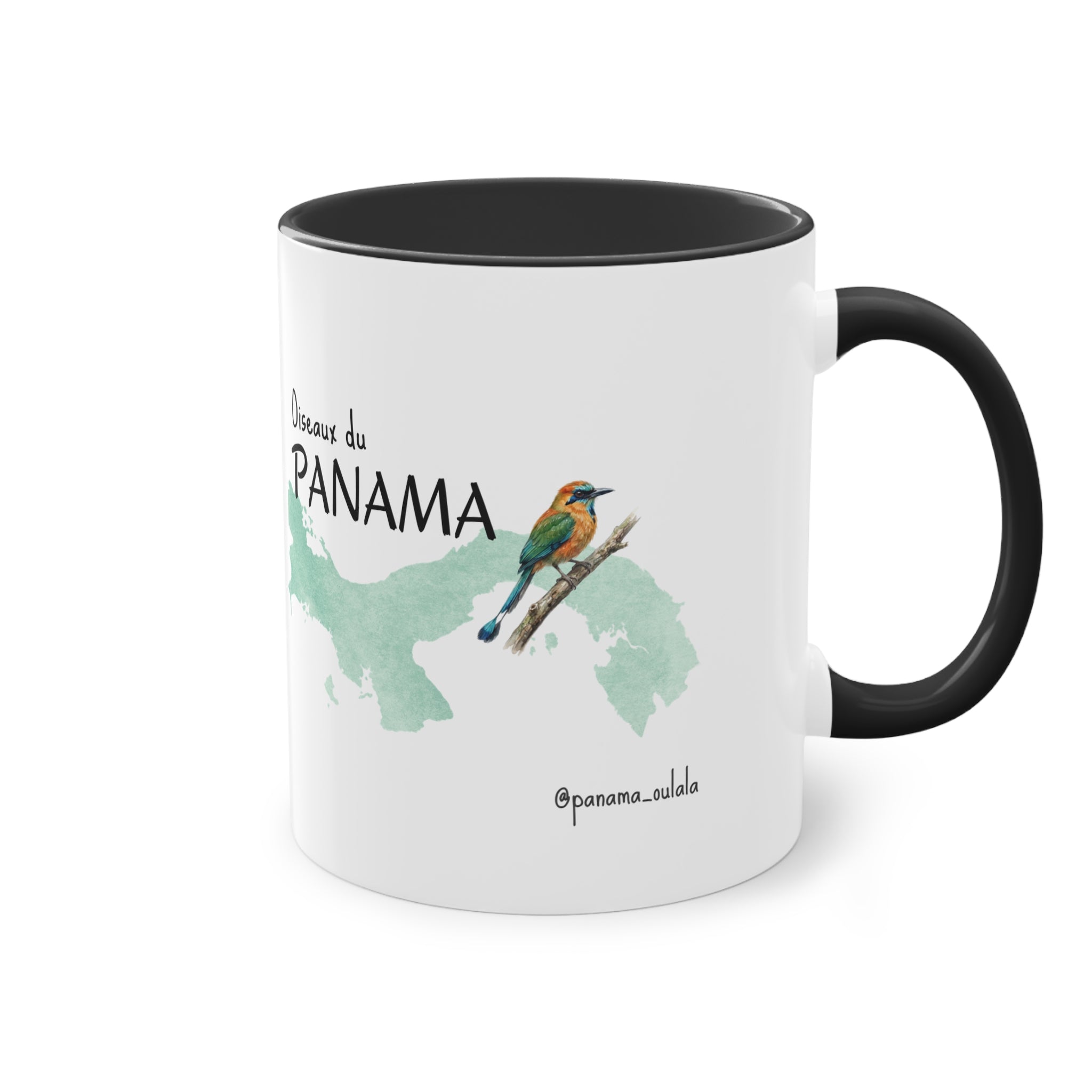 Tasse « Oiseaux du Panama - Motmot à sourcils bleue » – Mug céramique bicolore 325 ml, oiseau tropical du Panama, idée cadeau nature