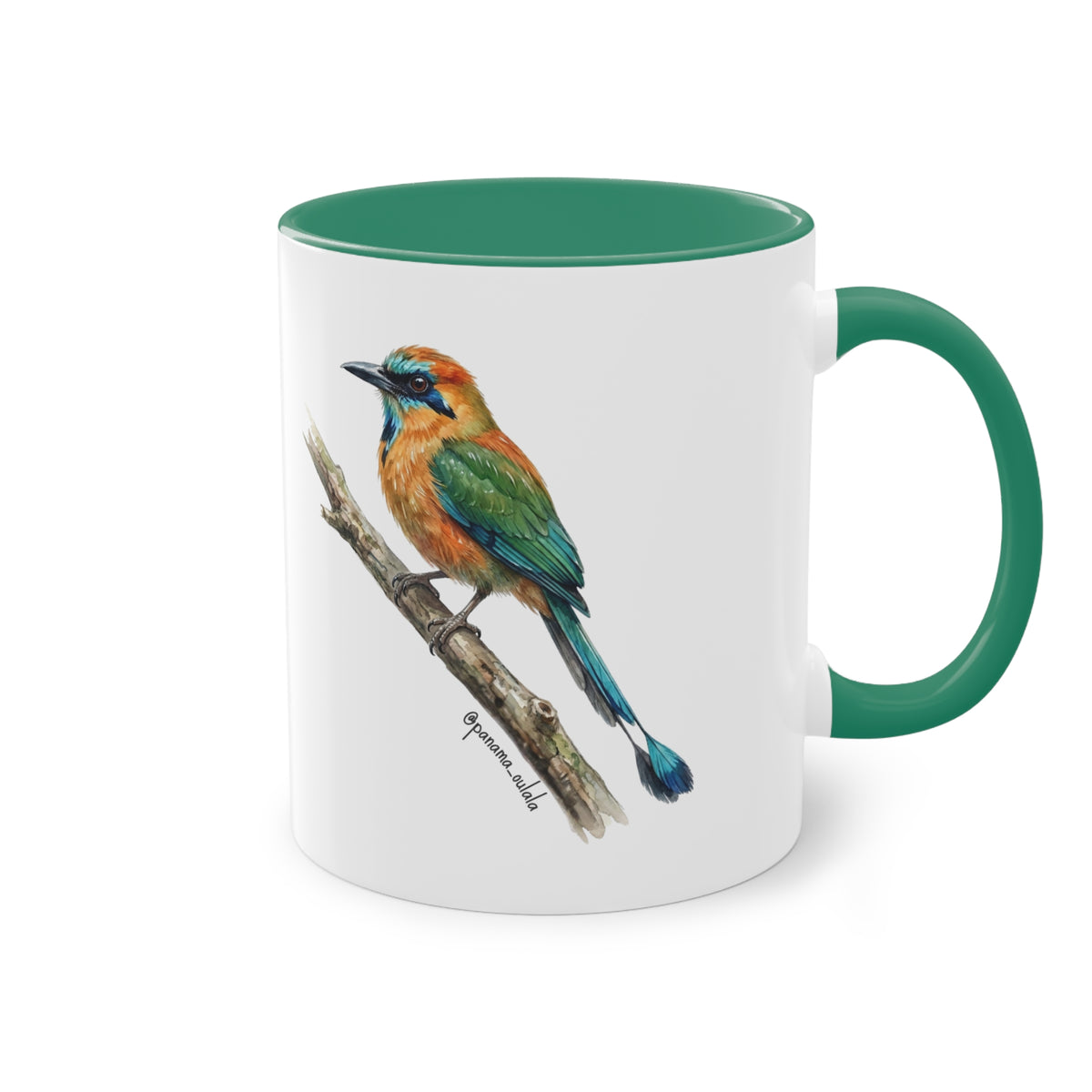 Tasse « Motmot à sourcils bleue » – Mug céramique bicolore 325 ml, oiseau tropical du Panama, idée cadeau nature