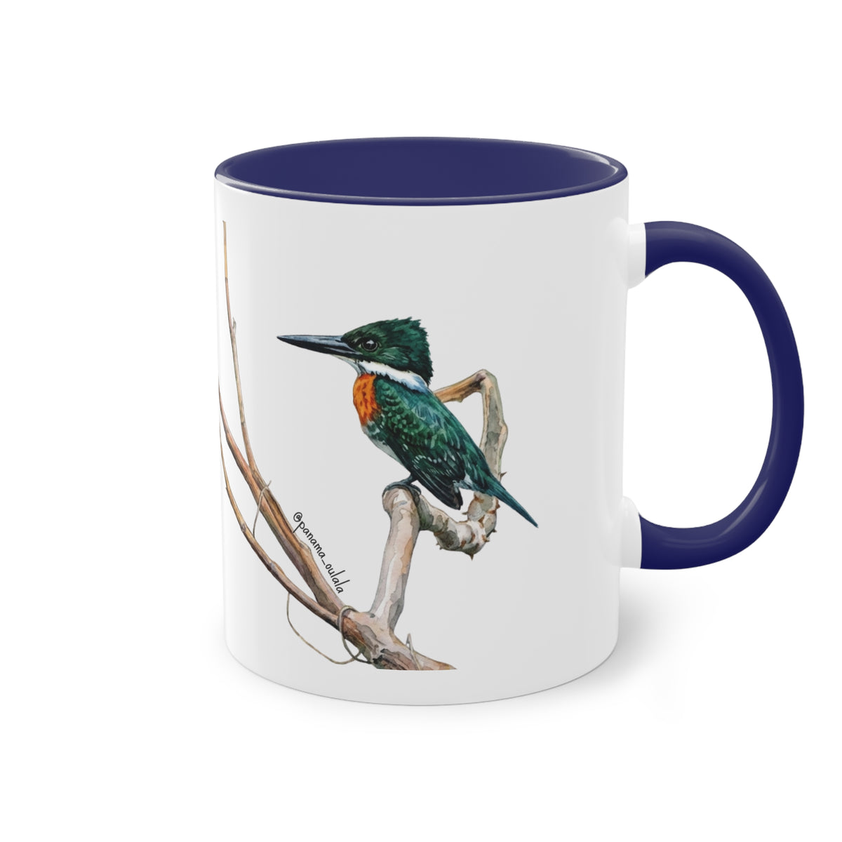 Tasse « Martin-pêcheur vert » – Mug céramique bicolore 325 ml, oiseau tropical du Panama, idée cadeau nature