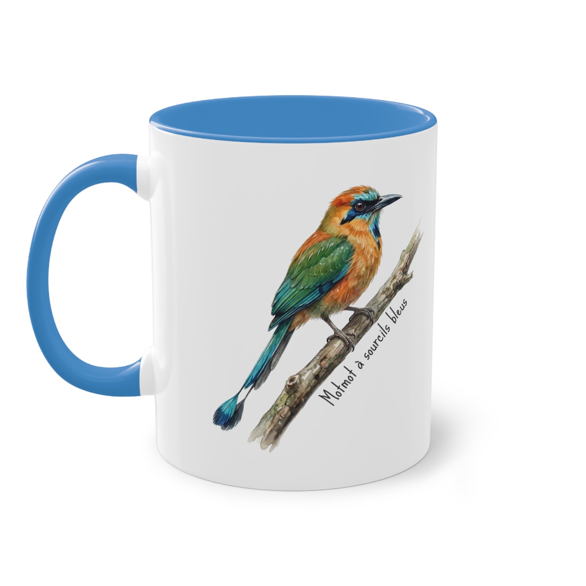 Tasse « Motmot à sourcils bleue » – Mug céramique bicolore 325 ml, oiseau tropical du Panama, idée cadeau nature