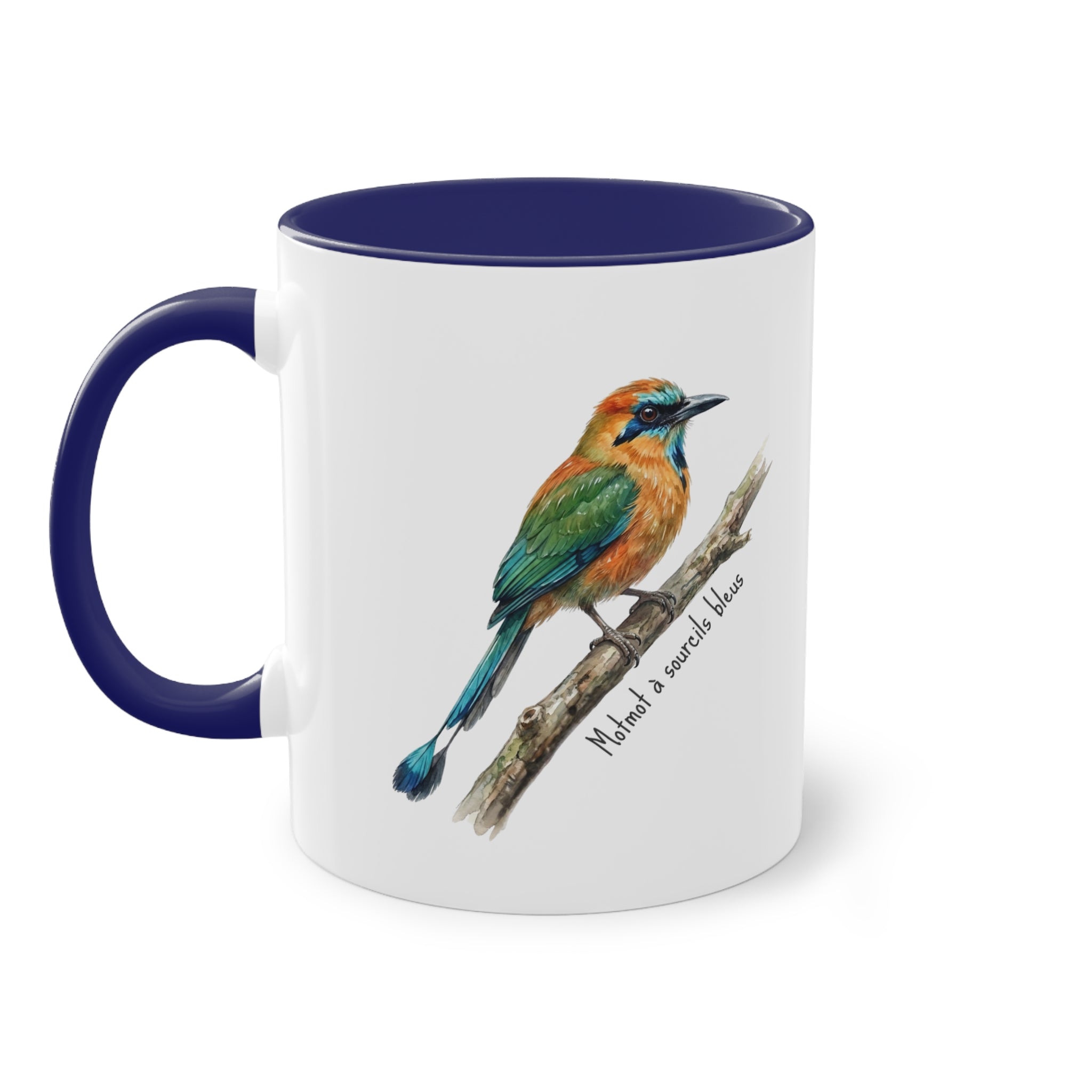 Tasse « Oiseaux du Panama - Motmot à sourcils bleue » – Mug céramique bicolore 325 ml, oiseau tropical du Panama, idée cadeau nature