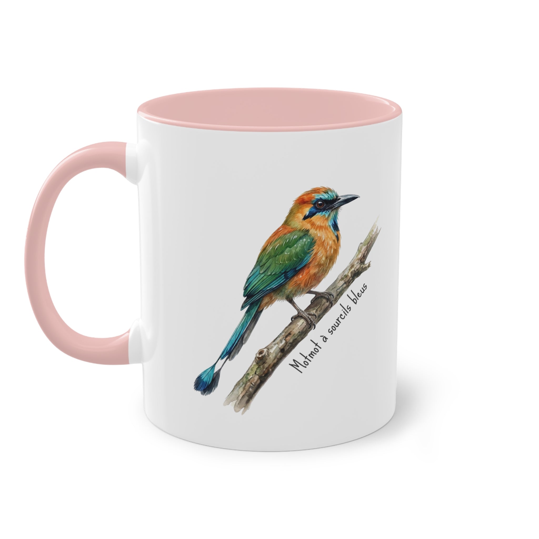 Tasse « Oiseaux du Panama - Motmot à sourcils bleue » – Mug céramique bicolore 325 ml, oiseau tropical du Panama, idée cadeau nature