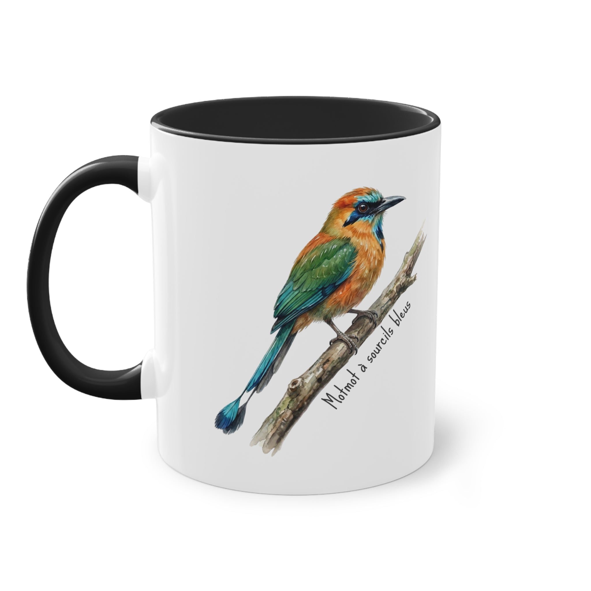 Tasse « Motmot à sourcils bleue » – Mug céramique bicolore 325 ml, oiseau tropical du Panama, idée cadeau nature