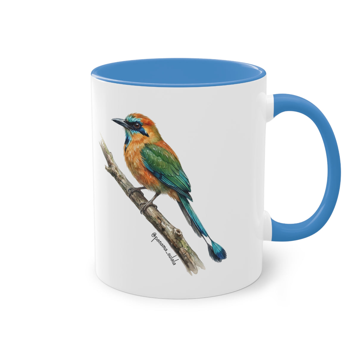 Tasse « Motmot à sourcils bleue » – Mug céramique bicolore 325 ml, oiseau tropical du Panama, idée cadeau nature