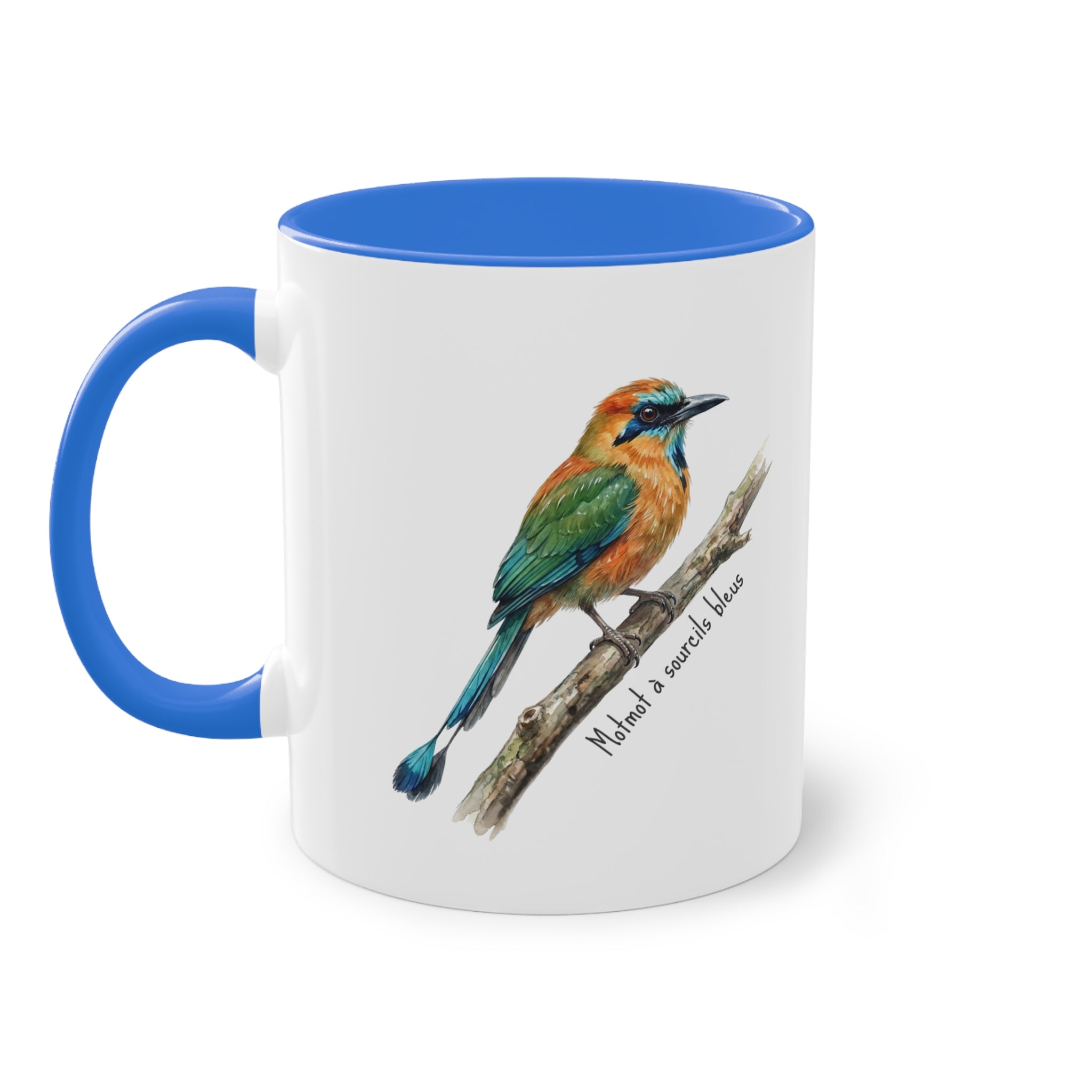 Tasse « Oiseaux du Panama - Motmot à sourcils bleue » – Mug céramique bicolore 325 ml, oiseau tropical du Panama, idée cadeau nature
