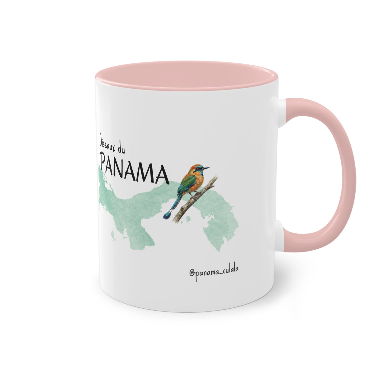Tasse « Oiseaux du Panama - Motmot à sourcils bleue » – Mug céramique bicolore 325 ml, oiseau tropical du Panama, idée cadeau nature