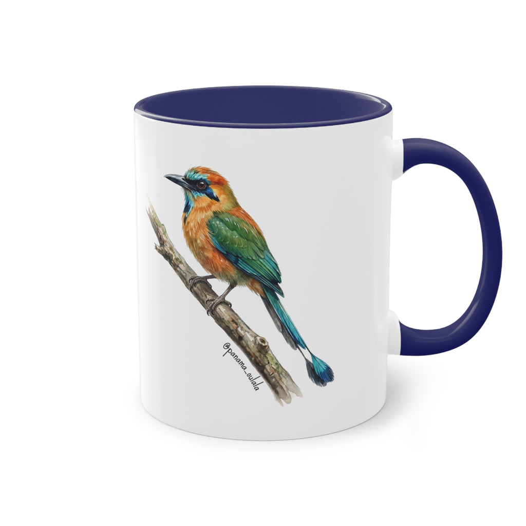 Tasse « Motmot à sourcils bleue » – Mug céramique bicolore 325 ml, oiseau tropical du Panama, idée cadeau nature