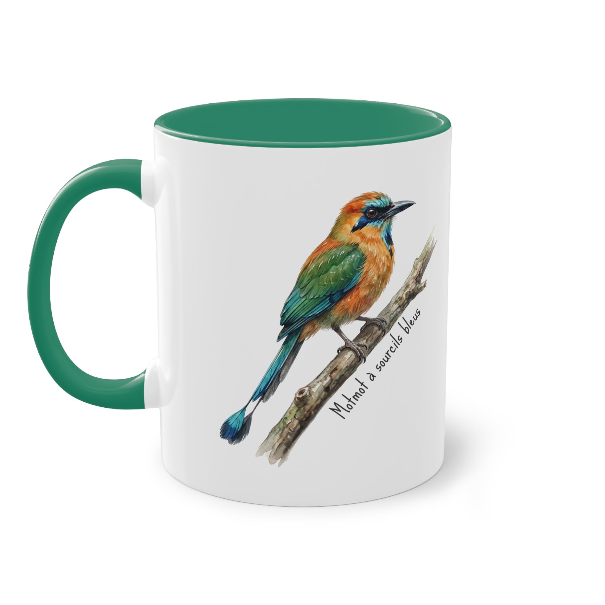Tasse « Motmot à sourcils bleue » – Mug céramique bicolore 325 ml, oiseau tropical du Panama, idée cadeau nature