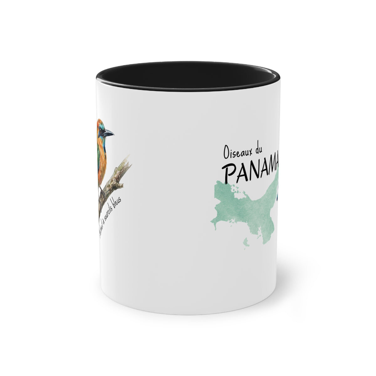 Tasse « Oiseaux du Panama - Motmot à sourcils bleue » – Mug céramique bicolore 325 ml, oiseau tropical du Panama, idée cadeau nature