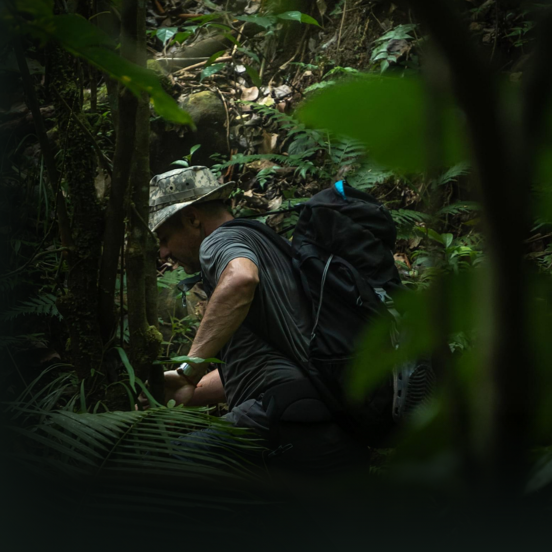 Arnaud Vettori progresse dans la forêt tropicale du Panama, sac à dos, lumière humide de sous-bois.