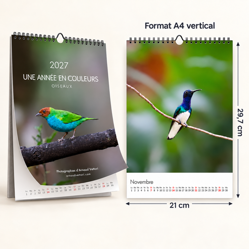 Calendrier photo d’oiseaux 2027 — Une année en couleurs