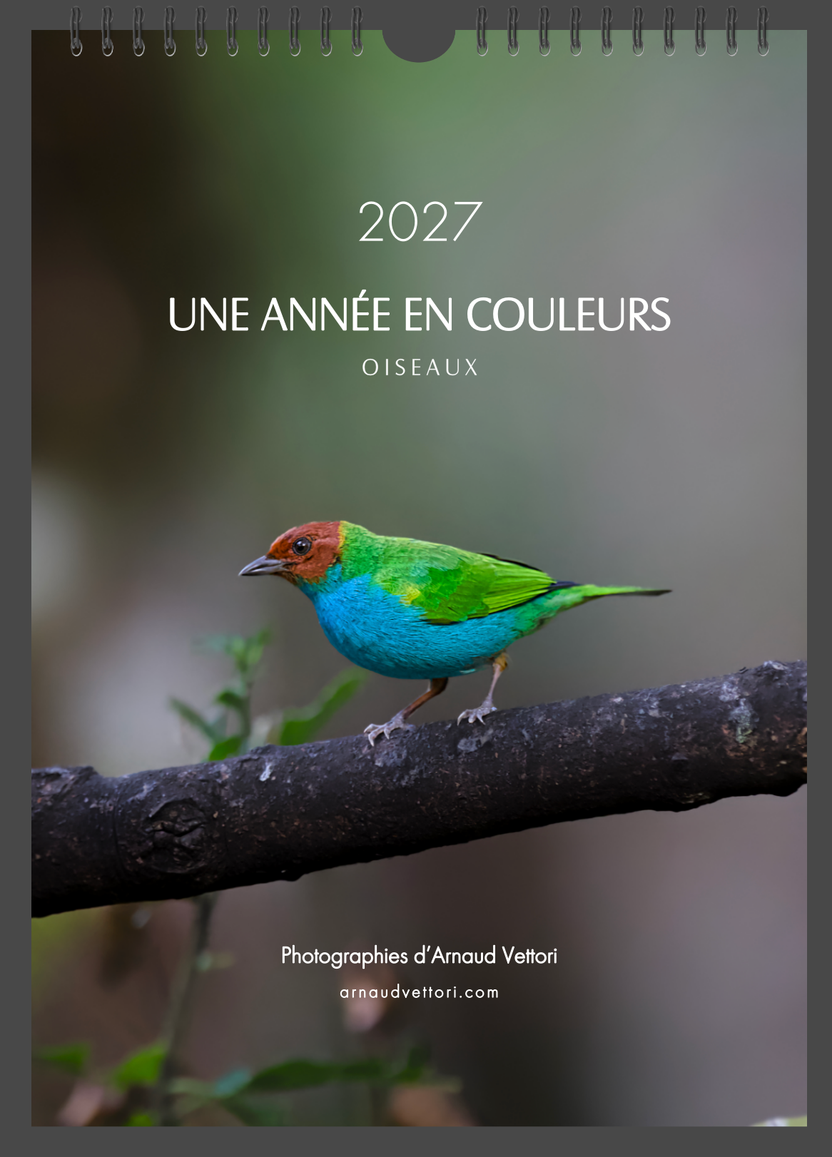 Calendrier 2027 — Une année en couleurs · Oiseaux